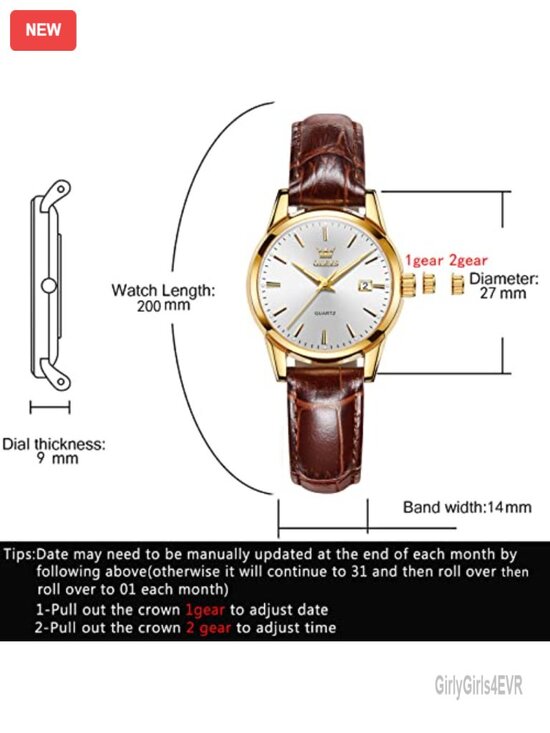 Women\'s Leather Analog Quartz Watch Water Resistant Date Day Luminous Small
